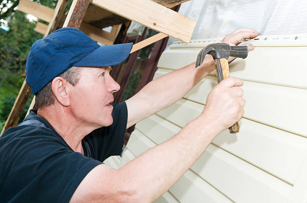 Best Insulated Siding Installation  in Hays, NC