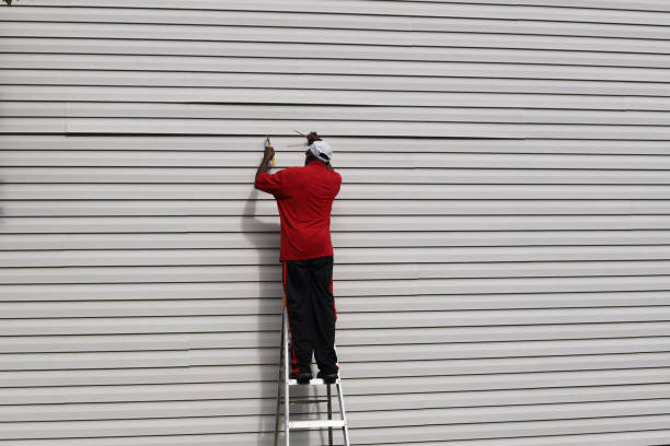 Best Steel Siding Installation  in Hays, NC