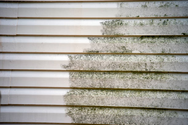Best Siding for New Construction  in Hays, NC